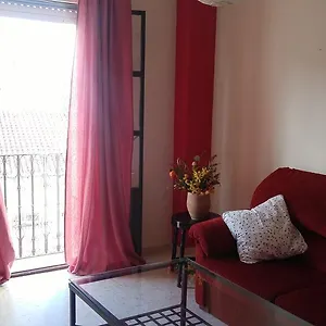 Zulema Aracena